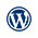 Hire WordPress Developer